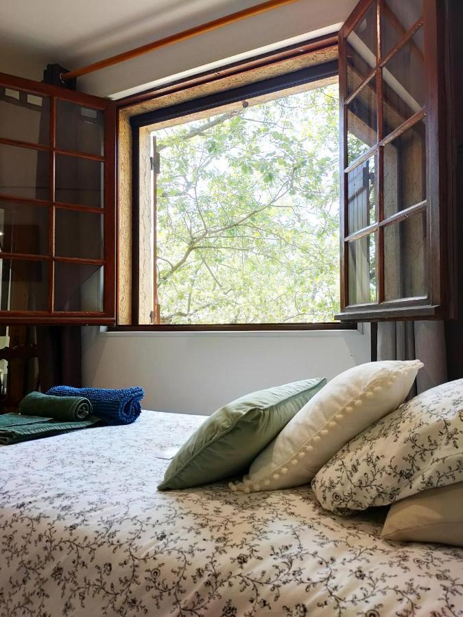 Villa Les Chariotins Draguignan Zewnętrze zdjęcie